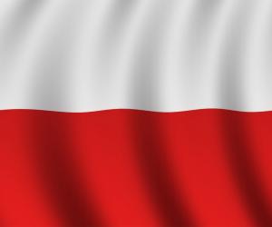 EnergyBet backs out of Polish market