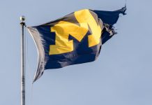 Wazdan secures Michigan licence