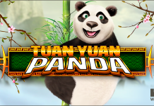 Tuan Yuan Panda by Worldmatch