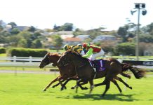 Operators to donate virtual Grand National profits to NHS