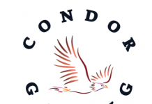 Condor Gaming and Play’n Go reveal new partnership