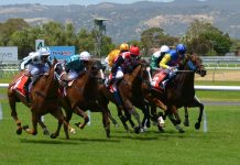 BetMakers launches in Jamaica through Supreme Ventures deal