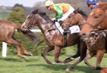 Tote launches Ten to Follow fantasy-style game for Cheltenham Festival