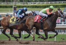 Metric partners Racebook HQ for trading services