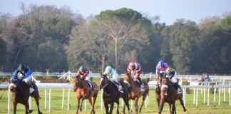 SIS pens deal to offer Italian racing content