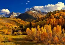 Colorado sports wagers surpass $500m in October