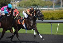 Churchill Downs to acquire Kentucky’s Ellis Park for $79m