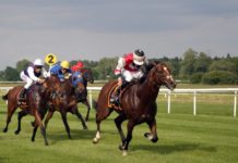 BetMakers CEO optimistic as revenue rockets after Sportech acquisition