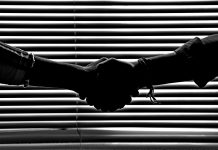 PlayStudios names Sonnino as new chief operating officer