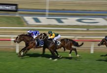 British Horseracing Authority appoints Raj Parker to board