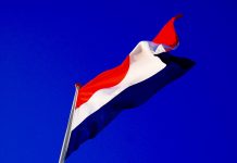 Dutch regulator receives 40 match-fixing reports since market launch