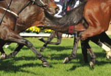 BetMakers signs racing and betting solutions deal with Royal Sabah