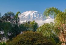 Tanzania regulator proposes gambling ad watershed in new code of conduct