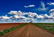 Kindred still committed to US, but won’t break even until at least 2026