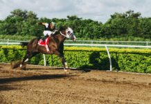 BetMakers pens distribution deal with Racing Victoria’s media business